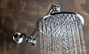 best rain shower head 